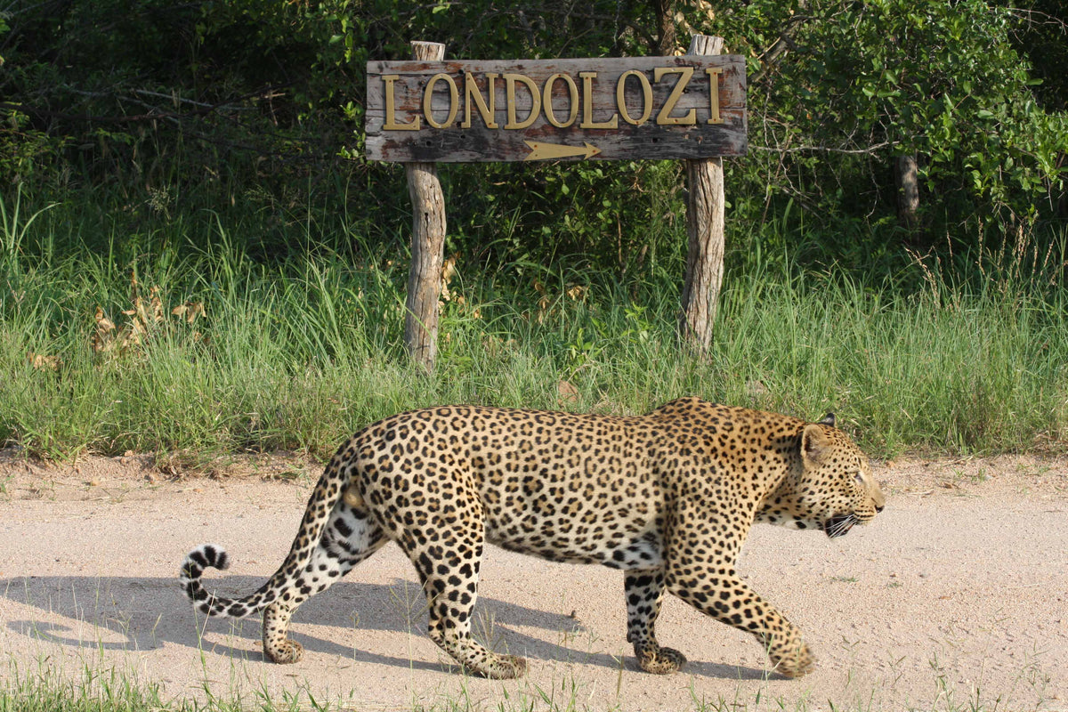 Joinery x Londolozi